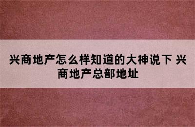 兴商地产怎么样知道的大神说下 兴商地产总部地址